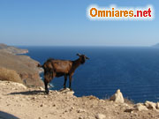 Creta