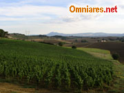 Il benessere dell'agriturismo