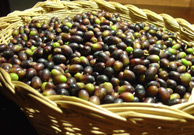 Le olive fanno bene